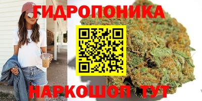МДПВ Гусь-Хрустальный