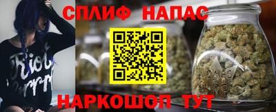 крисы Гусиноозёрск