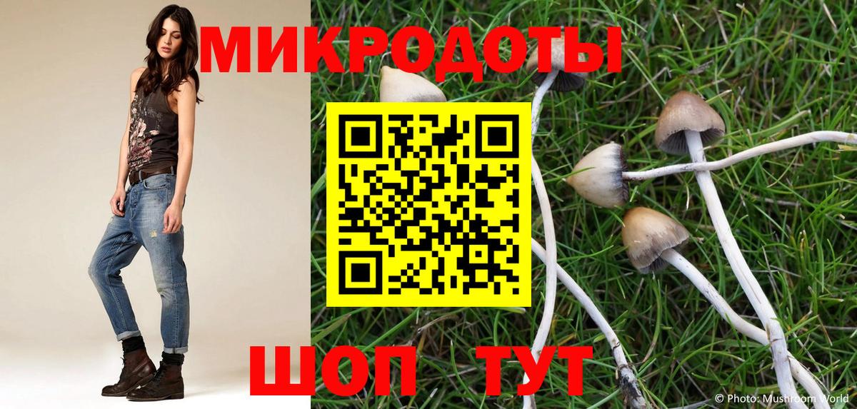Галлюциногенные грибы Cubensis Мурманск