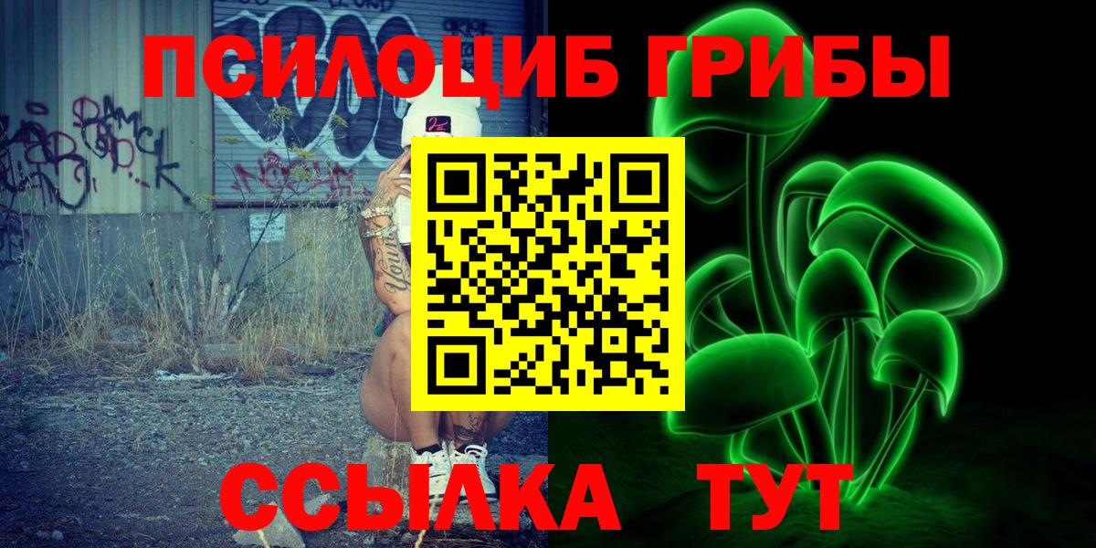 Мурманск  Псилоцибиновые грибы мухоморы  Вход с VPN 